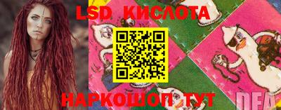 a pvp Краснодар