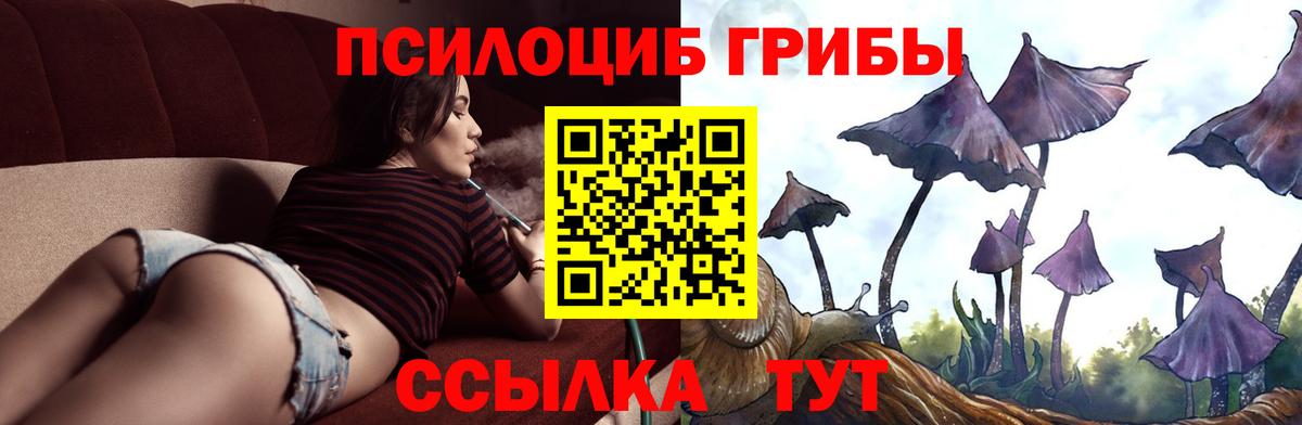 Курск  Псилоцибиновые грибы Cubensis  Псилоцибиновые грибы Magic Shrooms  Вход с VPN 