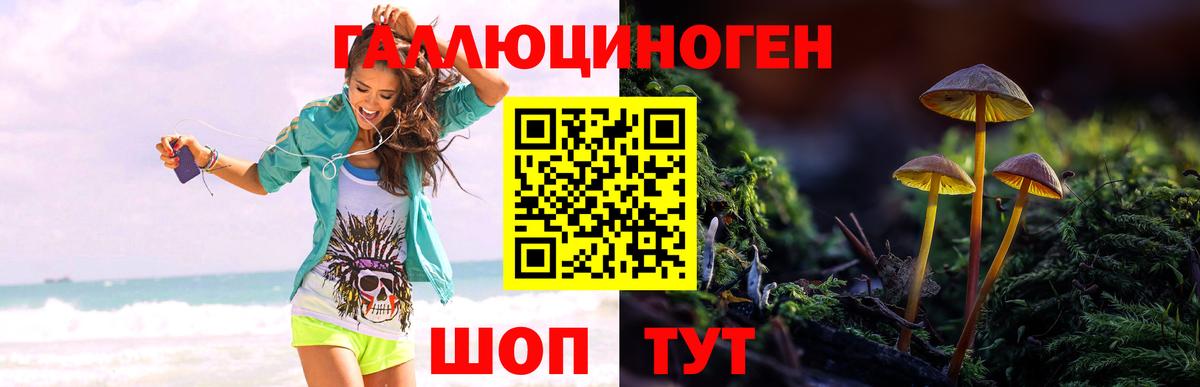 Галлюциногенные грибы GOLDEN TEACHER Курск
