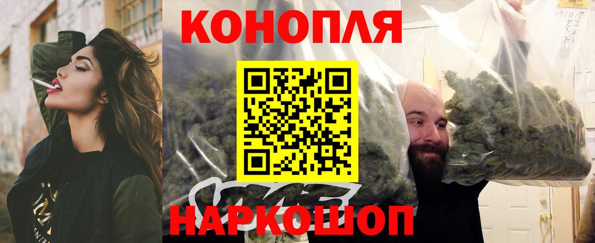 Каннабис план  Каннабис план  Вход с VPN  Курск  МАРИХУАНА ГИДРОПОН 